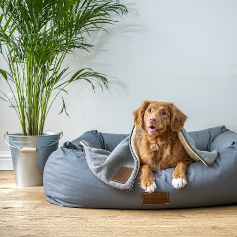Cama ortopédica lavable